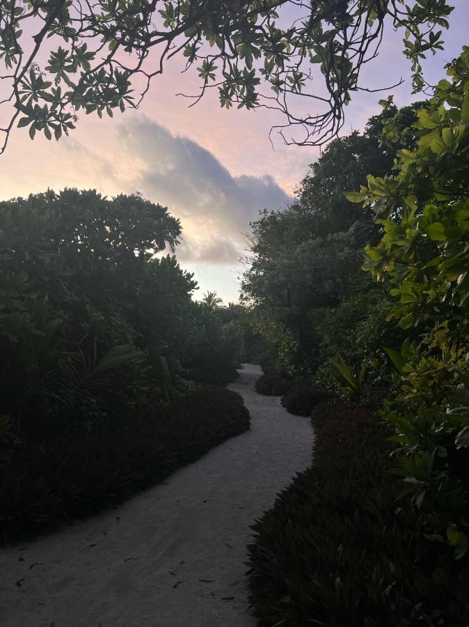 טאודו Lagoon Villa Maldives מראה חיצוני תמונה