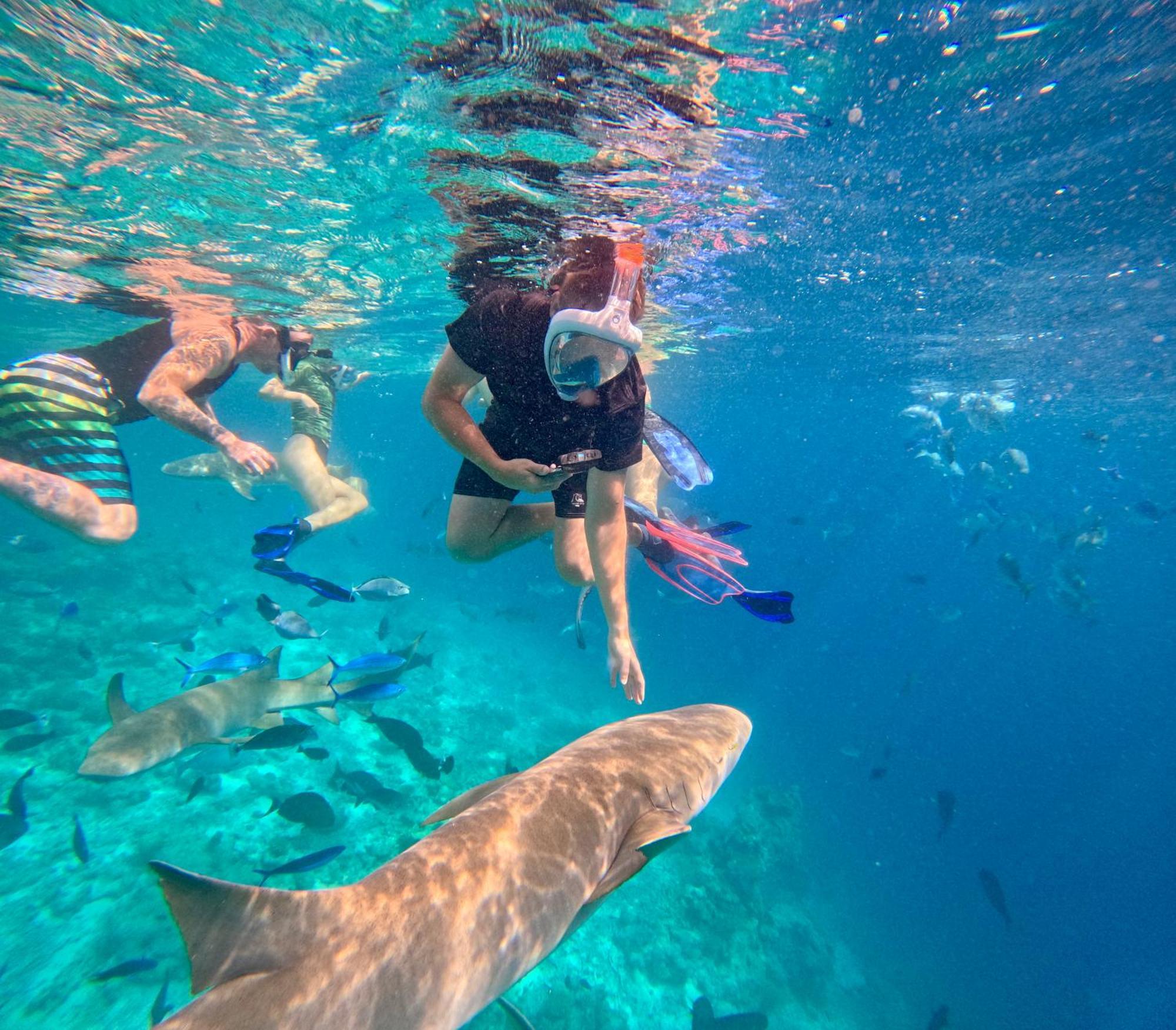 טאודו Lagoon Villa Maldives מראה חיצוני תמונה